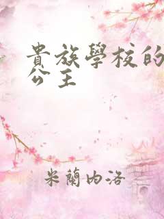 贵族学校的双面公主