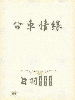 公车情缘