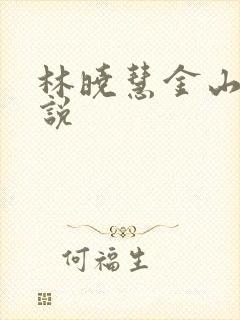 林晓慧金山的小说