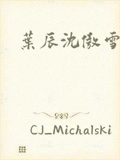 叶辰沈傲雪宁馨