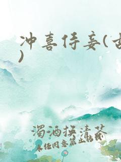 冲喜侍妾(古言)