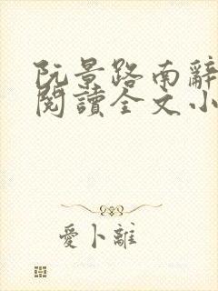 阮景路南辞免费阅读全文小说