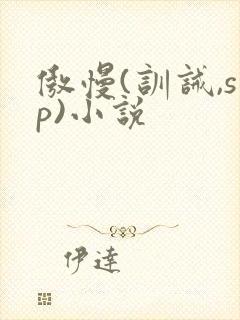 傲慢(训诫,sp)小说