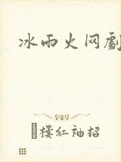 冰雨火网剧小说