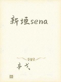 新垣sena