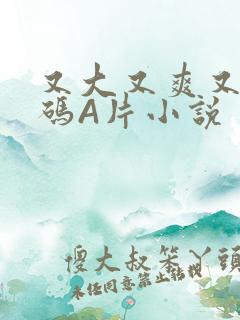 又大又爽又黄无码A片小说