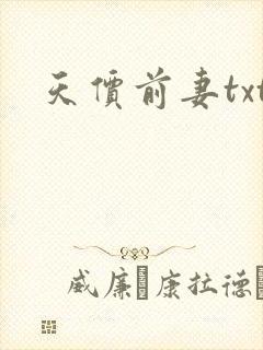 天价前妻txt