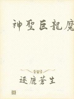 神圣巨龙魔法师