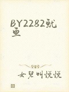 BY2282鱿鱼