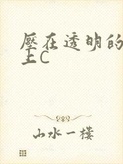 压在透明的玻璃上C