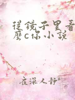 从镜子里看我怎么c你小说