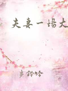 夫妻一场大结局