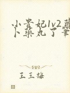 小贵妃1v2萝卜药丸了笔趣阁