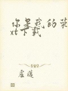 你是我的荣耀txt下载