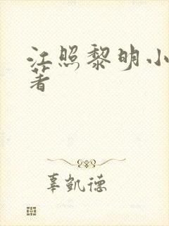 江照黎明小说原著