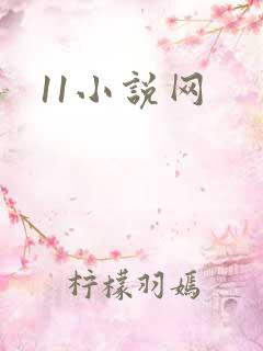 11小说网