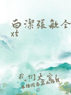 白洁张敏全集txt