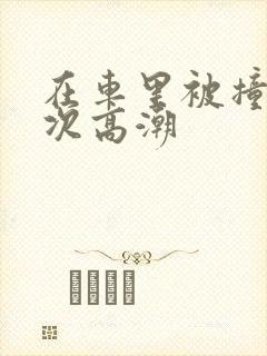 在车里被撞了八次高潮