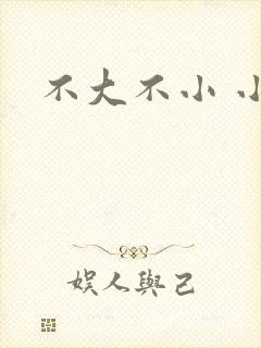 不大不小 小说