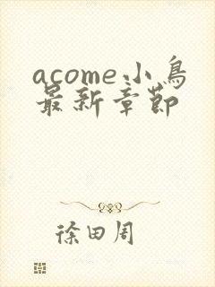 acome小鸟最新章节