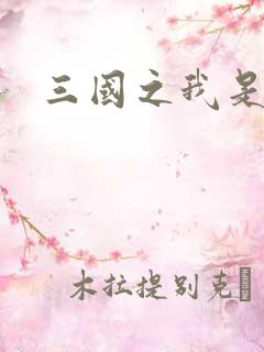 三国之我是华雄