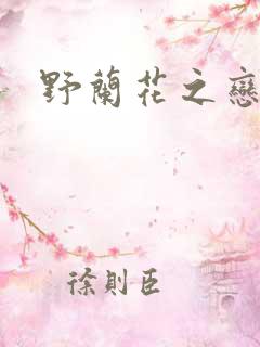 野兰花之恋
