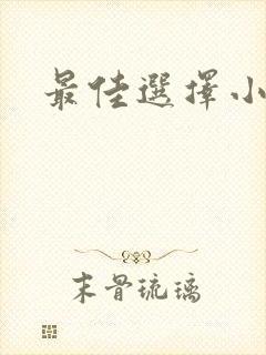 最佳选择小说