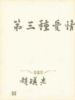 第三种爱情番外
