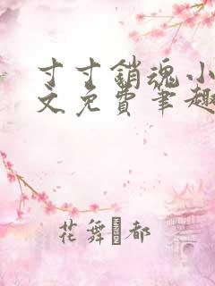 寸寸销魂小说全文免费笔趣阁