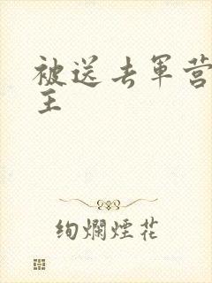 被送去军营的公主