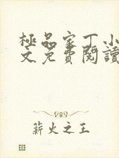 极品家丁小说全文免费阅读