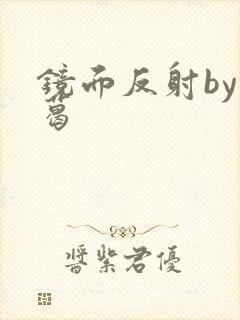 镜面反射by九葛