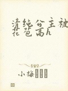 清纯公主被迫开花苞高h