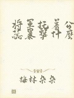 将军托着公主娇蕊暴击什么小说6