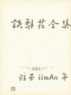 铁梨花全集下载