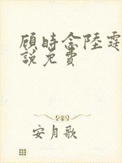 顾时念陆霆骁小说免费