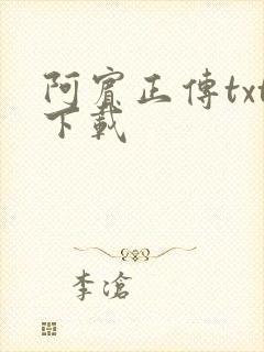 阿宾正传txt下载