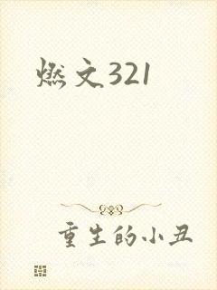 燃文321