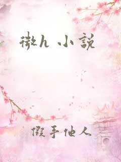 微h 小说
