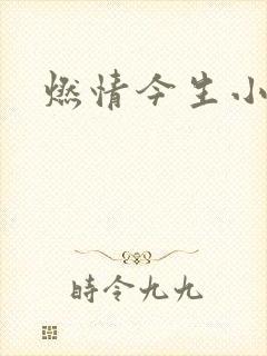 燃情今生小说