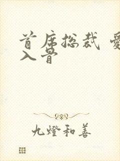 首席总裁 爱你入骨