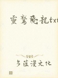 灵鹫飞龙txt