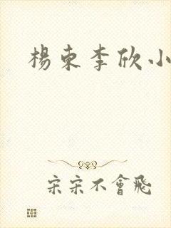 杨东李欣小说