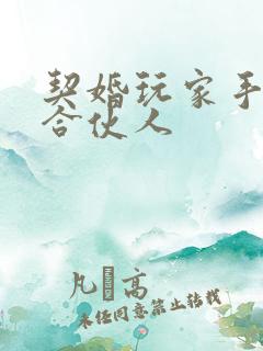 契婚玩家手册之合伙人