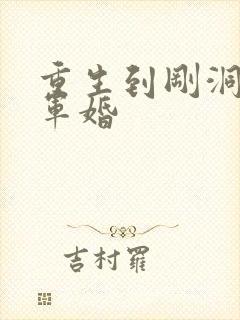 重生到刚洞房的军婚