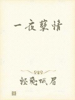 一夜孽情
