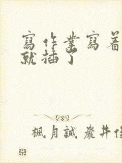 写作业写着写着就插了