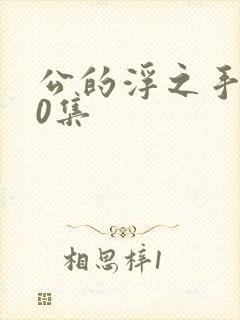 公的浮之手140集