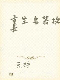 重生名器攻略兄长