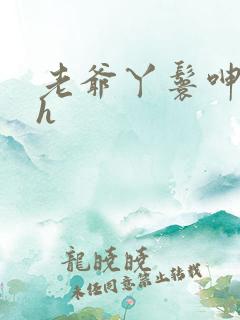 老爷丫鬟呻吟高h